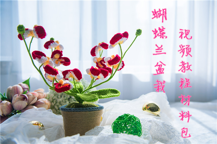 (Material package) Handmade wool crochet DIY knitting Phalaenopsis potted video tutorial material package