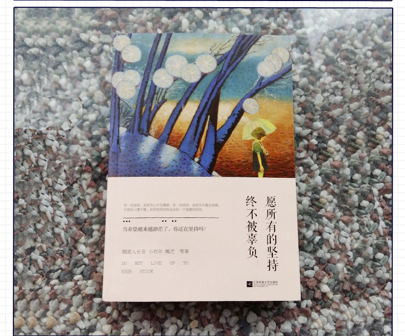 青春文艺励志书籍