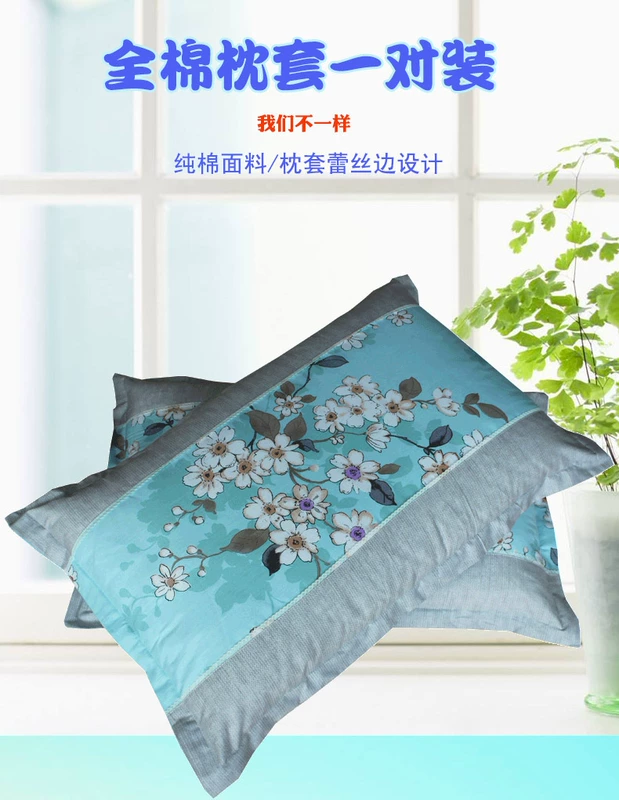 Gối bông 1 cặp 48 74 Bông phong bì gối đơn - Gối trường hợp