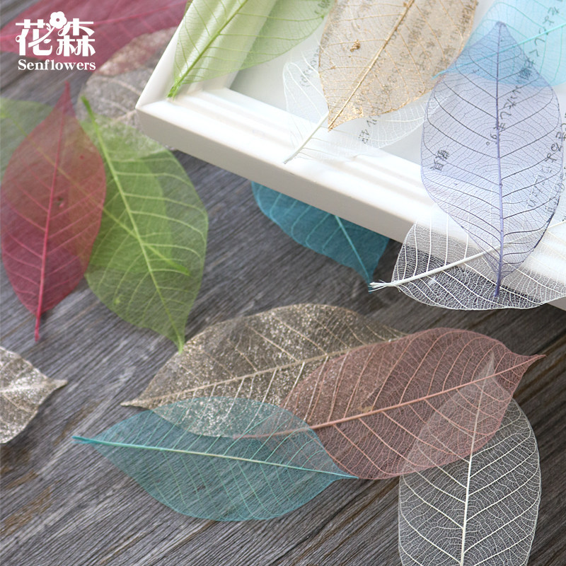Imported Leaf Vein Transparent Leaf Japan Land Farm Small Leaf Vein Transparent Matching Leaf 51494 Immortal Flower Matching Ingredients DIY