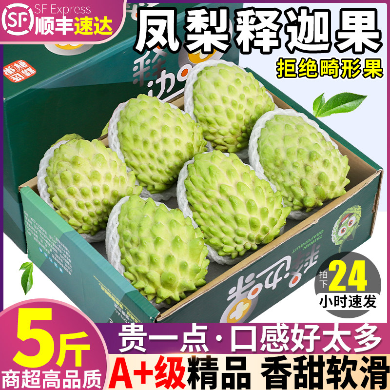 The Shunfeng Big Fruit 5 catty milk pineapple Pineapple Fruits Fresh Fruits Pan Lychee Lin's Buddha Head Gift Box Pregnant Woman-Taobao