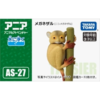 Tarsier 【AS-27】 209379