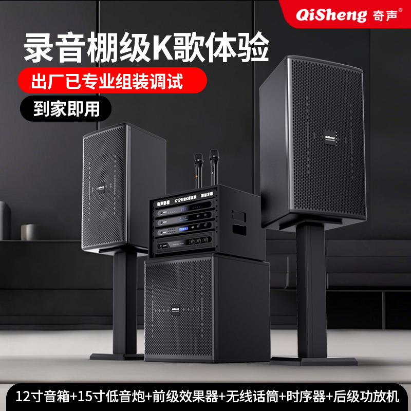 Qisheng Family KTV Audio Karaoke Set