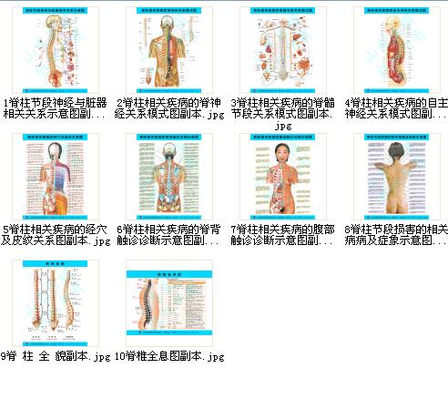 脊柱挂图医学脊柱图解知识挂图《脊柱相关疾病图解系列挂图》