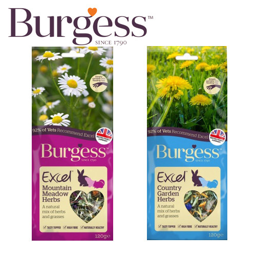 Buggs Mixed Hay Alpine Fields Garden Grass Bunny Flowers And Plants Bag Rabbit Dragon Cat Guinea Pig Earth Dialytico Timothy Moses