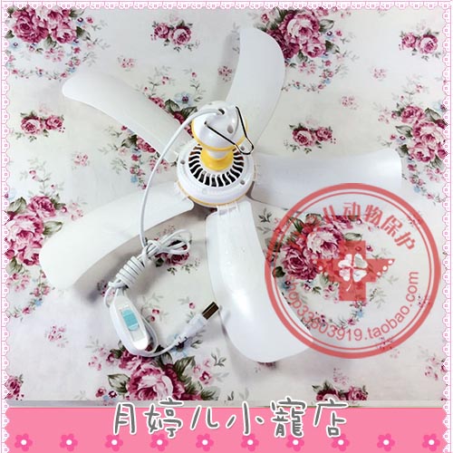 Small Favorites Ceiling Fan Power Saving Quietly Sound Summer Cooling Supplies Rabbit Dragon Cat Squirrel Pet Minke Guinea Pig Dutch Pig A 41