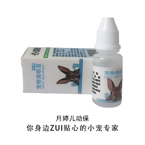 Глаза домашних животных кролика