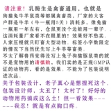 Вся бутылка лактазы сырой 1000 таблеток с разбавленной диареей мягкие фекалии, собачья кошка, медицина кролика, тоторо, церковный дельфин, хомяки Энтерит Энтерот медицины