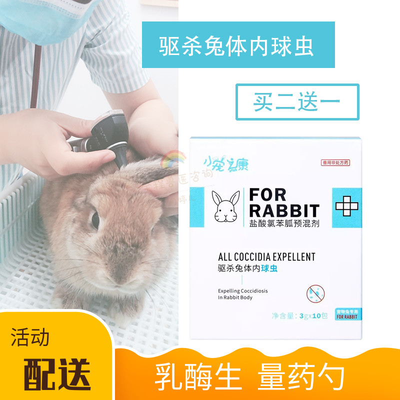 Rabbit Cochlora Prevents Parasite Drug Pet Pyramid Tea Cup Angola Rabbit Pet Conrase