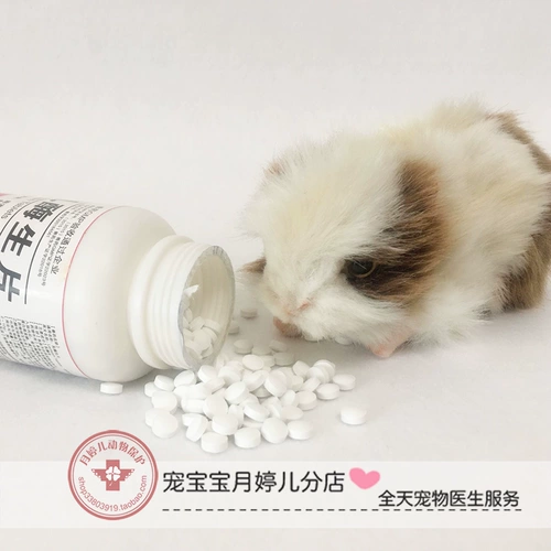 Вся бутылка лактазы сырой 1000 таблеток с разбавленной диареей мягкие фекалии, собачья кошка, медицина кролика, тоторо, церковный дельфин, хомяки Энтерит Энтерот медицины