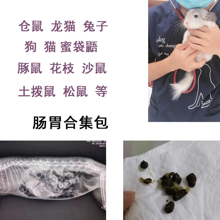 胀气肠胃调理液合集兔子尤痢欧龙猫豚鼠松鼠拉稀便秘软便兔兔