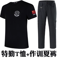 Летние боевые брюки Special Service T+