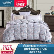 Jialis white goose down quilt thickened single double warm quilt core down quilt Goose down quilt winter quilt