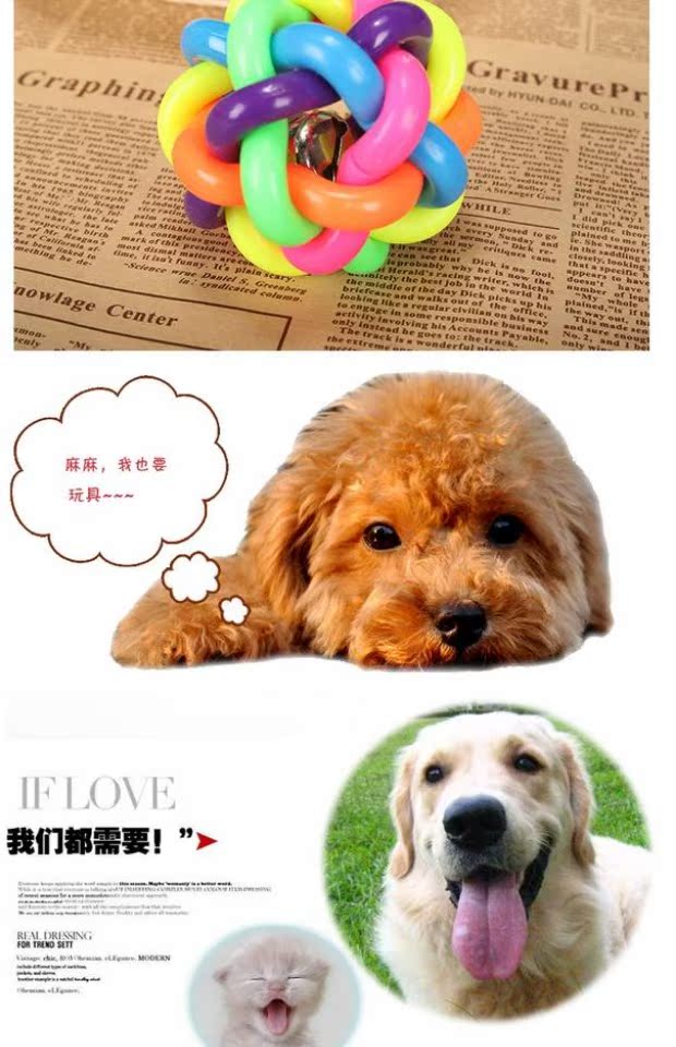 Pet cung cấp chó đồ chơi bóng âm thanh đồ chơi Teddy mèo đàn hồi đầy màu sắc chuông bóng chuông - Mèo / Chó Đồ chơi đồ chơi cho mèo cắn