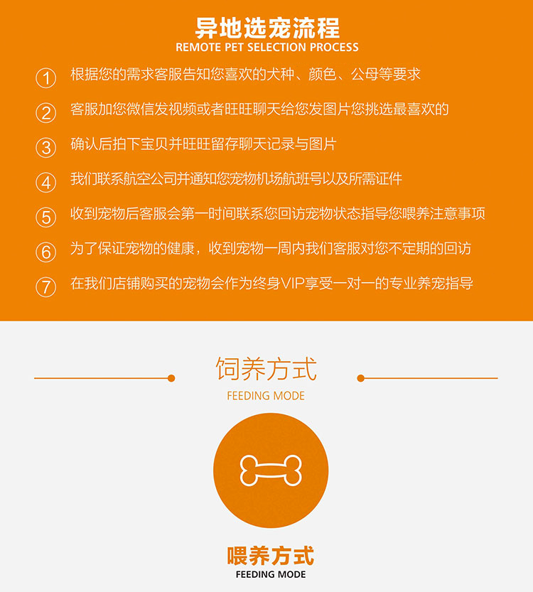 广州哪里有卖纯种椒盐色超小体雪纳瑞幼犬 找新家