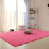 Toàn bộ cọ núi nệm 1.2m1.5 1,8 mét thảm mỏng cứng nhắc giường trẻ em cọ mat kinh tế - Thảm thảm trải nền nhà Thảm