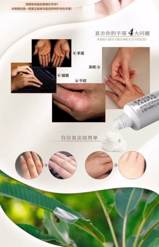 Bili BEELY Kem Tay Bơ Shea 40g Dưỡng Ẩm, Chống Đóng Băng, Chống nhăn, Chống nứt, Chăm Sóc Tay Mùa Đông