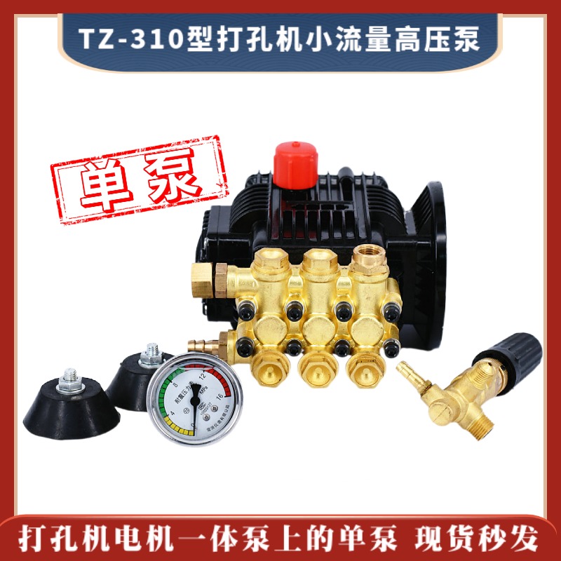 TZ-310 type punching machine small flow high pressure pump water pump wearing machine single pump three-phase asynchronous motor Y801-6