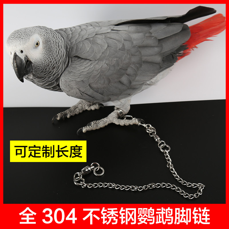 Full 304 stainless steel parrot foot ring ankle chain snap-resistant high-grade diamond sunflower grey parrot bird chain