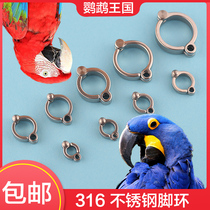 Parrot Kingdom Imports 316 Stainless Steel Parrot Foot Ring 304 Station Rack Foot Chain Diamond Sunflower opening foot buttoned foot ring