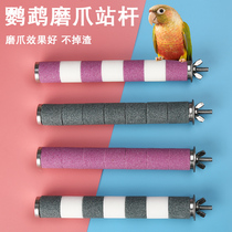 Parrot Grinding Claw Rod Frosted stand pole Anchow Cockatoo Stainless Steel Bird stand Grinding Mouth Toe mill Nail Baseball Supplies Big