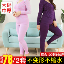 Large size middle-aged autumn clothes autumn pants womens suit base cotton sweater mother warm underwear womens thick line pants