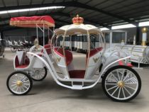 Electric pumpkin carriage hollow European outdoor sightseeing car Real Estate Hotel scenic spot film and television Princess car color can be changed