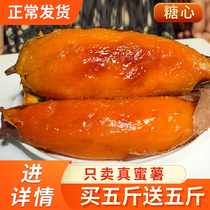  Shandong sweet potato sugar heart sweet potato fresh with box 10 kg smoked potato 25 red heart dense potato summer flow oil flow heart sweet potato