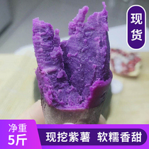  Purple potato fresh 5 kg with box small Shandong mini flour waxy sand sweet potato Sweet potato Sweet potato farm seasonal fruit