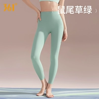 Зеленый шалфей