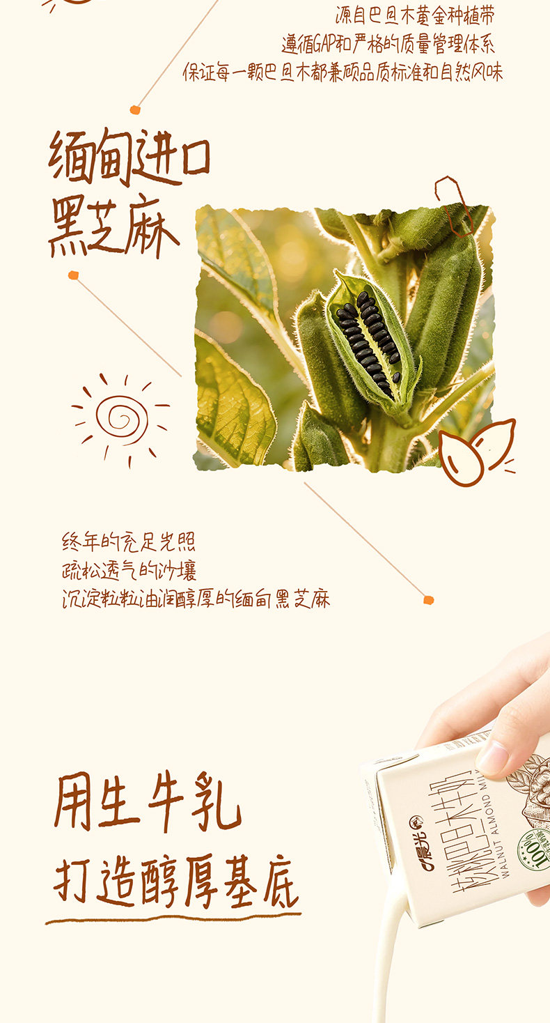 安享好物 安享C级含乳饮料-晨光核桃 巴旦木牛奶  