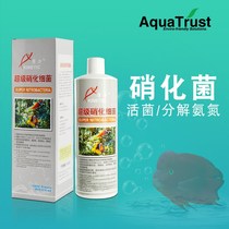  Kangli nitrifying agent for bacteria live bacteria free from activation rapid decomposition of ammonia and nitrogen water purification fish tank culture agent