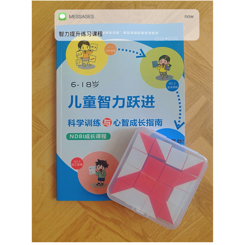 Webster's Children's Intelligence Training Set Scientifically Improves Perceptual Reasoning and Working Memory Textbook + 16 Red and White Sets