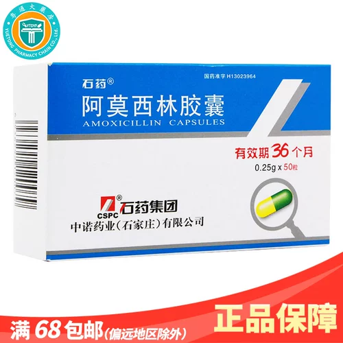 石药 Капсула амоксицина 0,25 г*50 капсулы/коробка антиобламентальной пневмонии бактерий инфекция урехрит