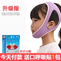 Модернизированный пурпурный подбородок