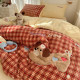 Winter Thickened Milk Velvet Four-Piece Set 2026 New Double-Sided Coral Velvet Warm Duvet Cover Bed Sheet Fitted Sheet Three-Piece Set