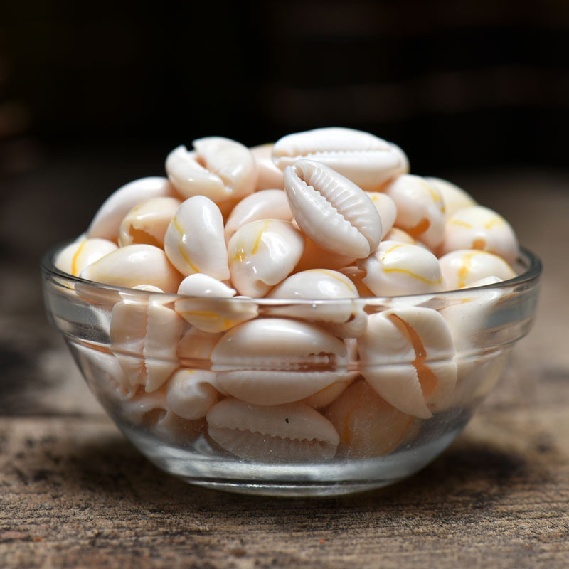 Buddha statue Buddha tavern for Manza disc for seven precious stones Quality snail No. 1 Two