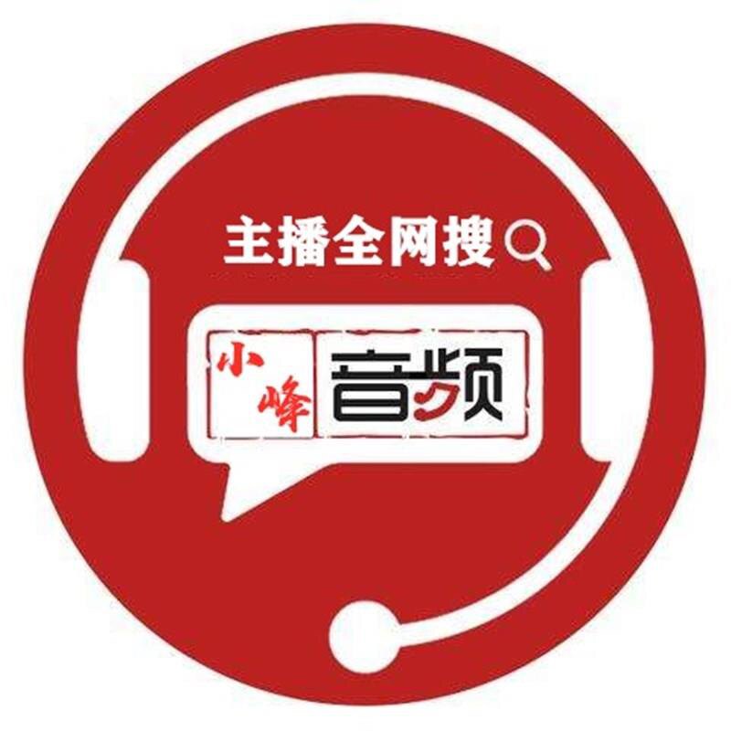 小峰音频企业店