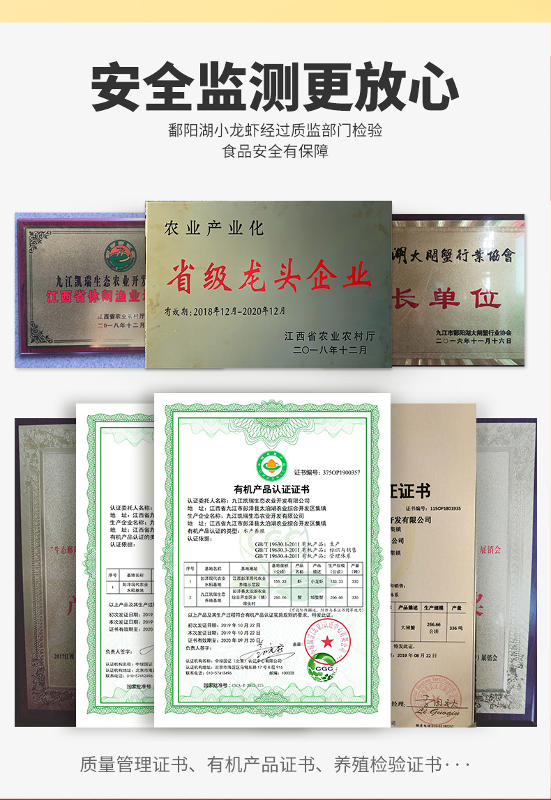 鄱阳湖 麻辣小龙虾 1800g 净虾3斤 图8