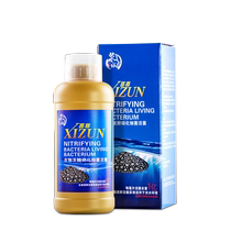 (Xizun Official) Nitrifying Bacteria Fish Tank Water Change Digestive Bacteria Ornamental Tropical Fish Universal Product Purifying Water Agent