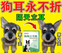 小型犬立耳贴小狗狗雪纳瑞德牧杜宾柯基幼犬立耳神器辅助固定器