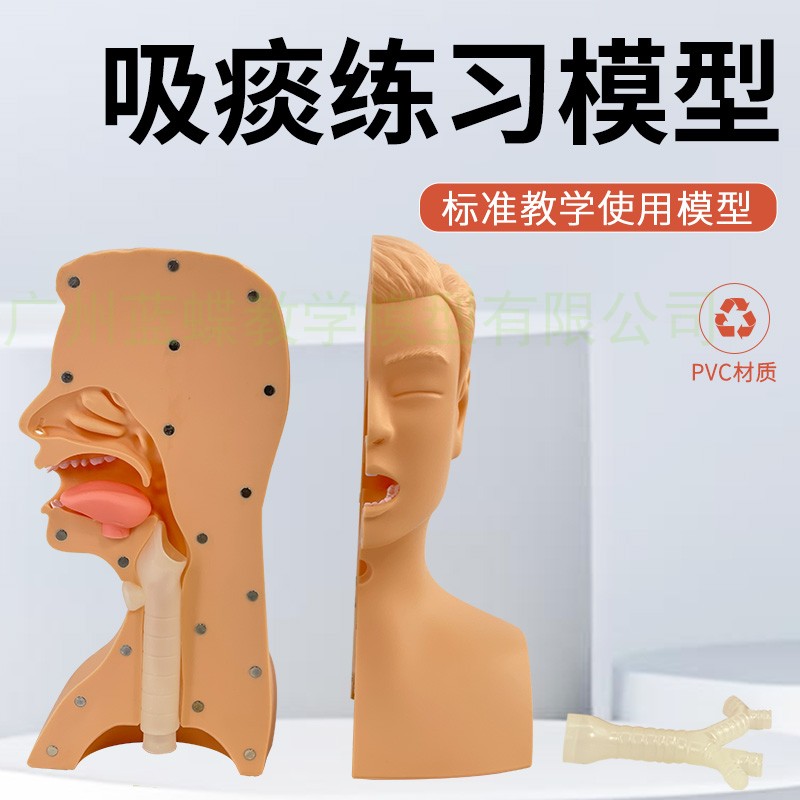 高级吸痰练习模型 蓝蝶模型吸痰教学模拟人 护理操作练习用
