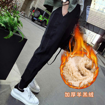 Winter lambskin sweatpants womens velvet thickened autumn and winter wear warm cotton pants loose beam feet casual health pants