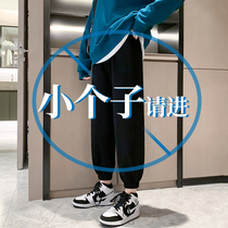 Black sports pants summer thin beam feet thin casual pants small guy in tide nine-point lantern pants