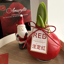 Black face black shop New Years card exclusive original design hang card Zhu Dinghong