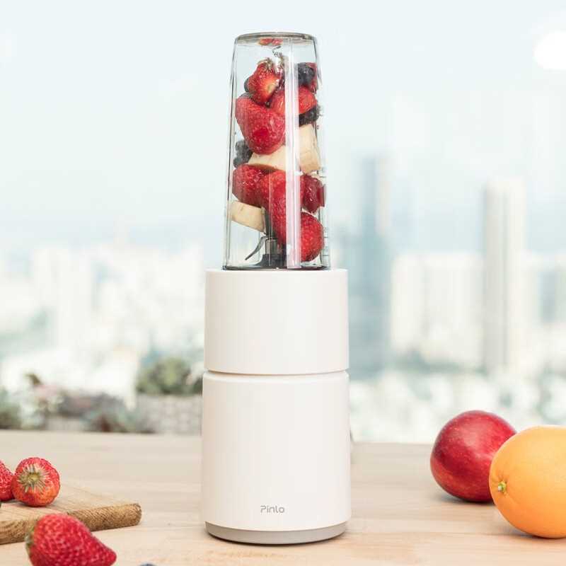 Pinlo ジューサー 多機能フードプロセッサー ミニウォールブレーカー ポータブル 家庭用 果物と野菜 ブレンダー ベビー