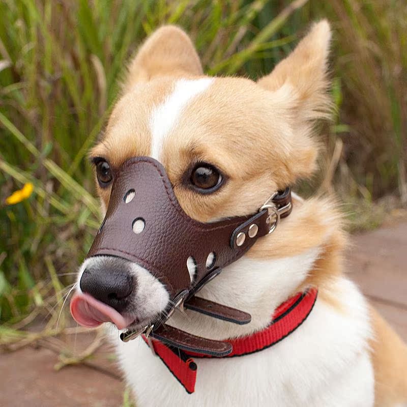 Dog duck mouth cover anti-bite barking eating teddy cover small puppy stop bark pet mask Corgi Pomeranian supplies