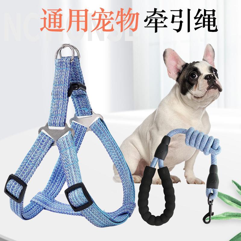 Dogs traction rope p chain dog neckline one-piece dog necklace with dog rope teddy anti-explosion small walking dog rope