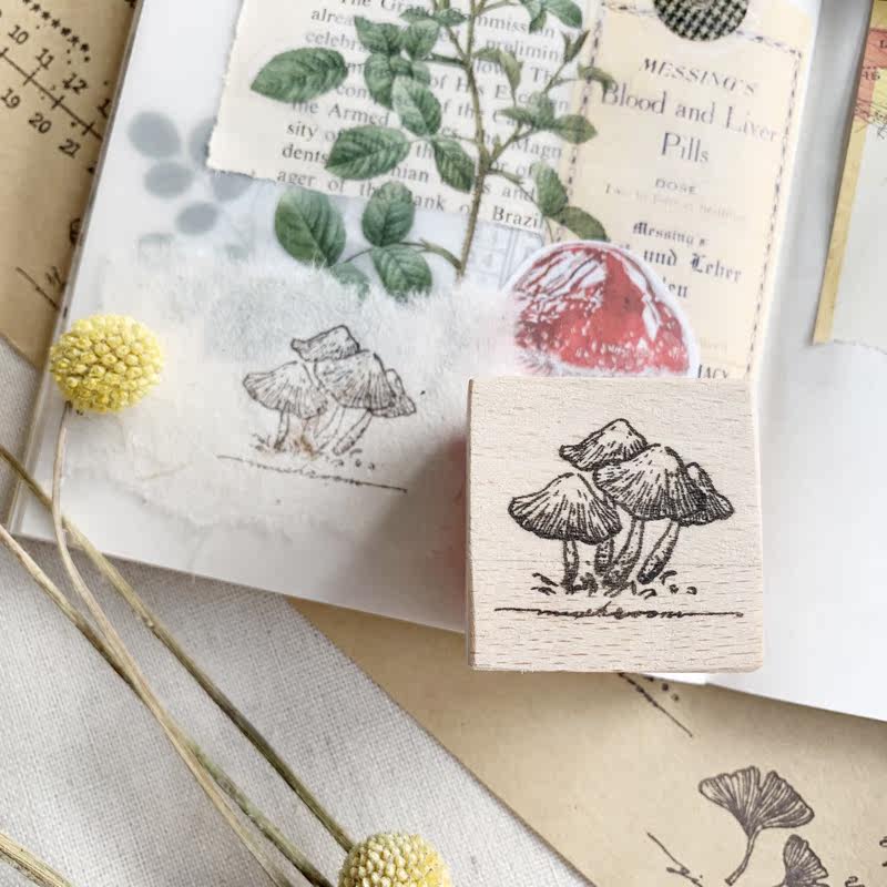 兩隻浣熊銀杏葉蘑菇櫻花蘭花實木印章手賬裝飾復古鹽系通用植物