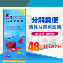  Dolphin aquarium universal water purification concentrated active nitrifying bacteria water quality stabilizer Removal of chlorine clarification stabilizer